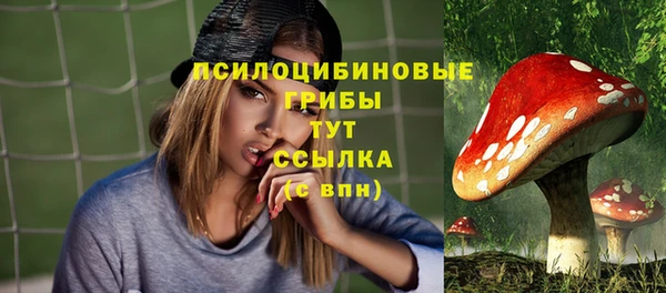 дурь Корсаков